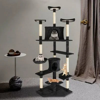 Black Cat Condo C888