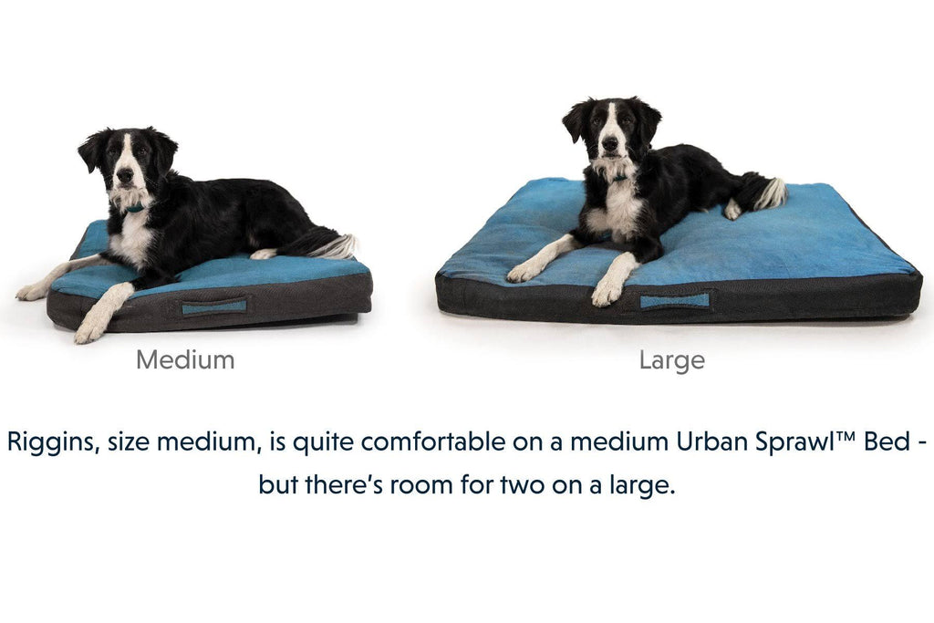 Overcast Blue Dog Bed J122