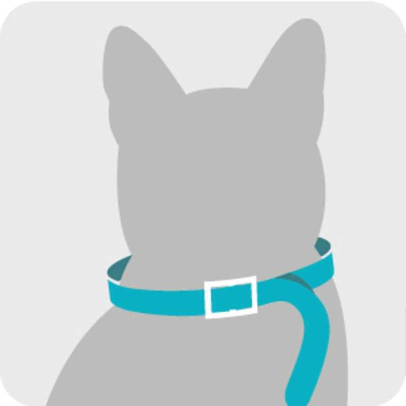 Flea & Tick Collar for Cats S874232