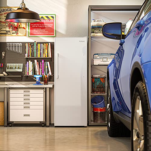 Convertible Freezer/Fridge R51082