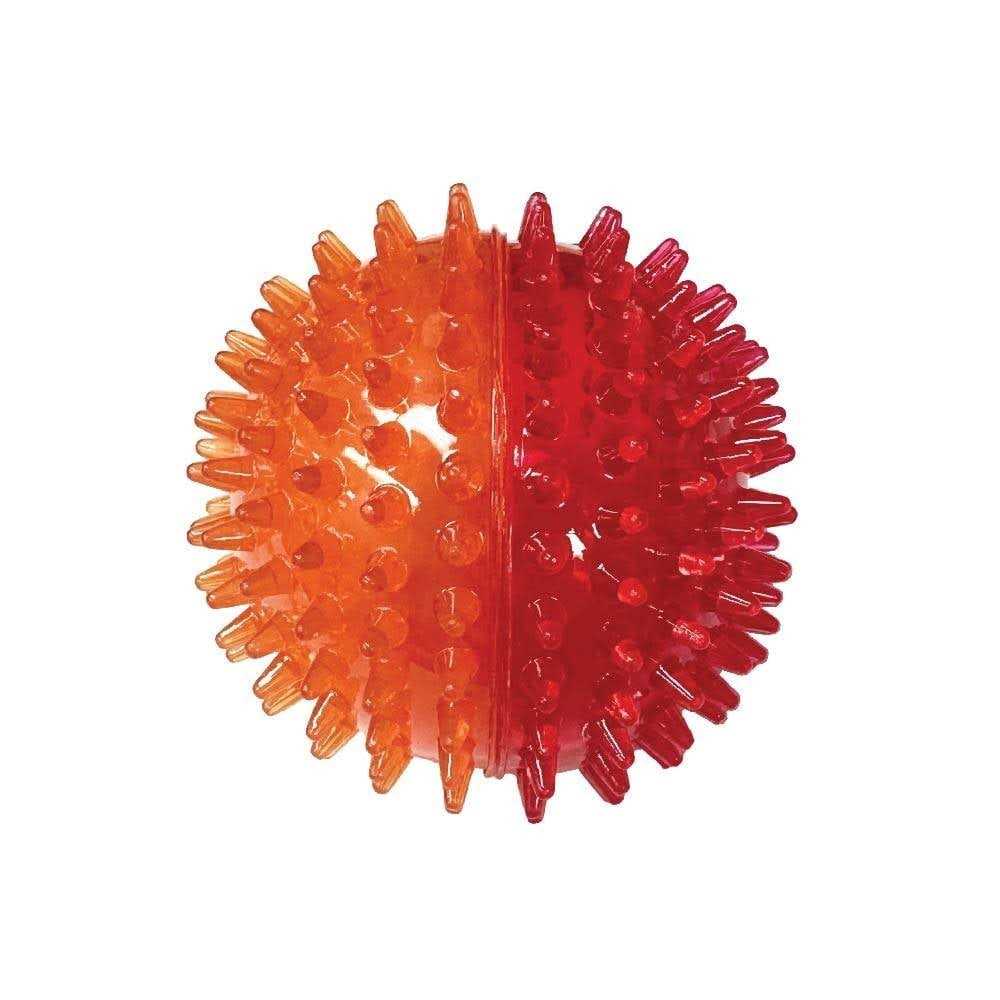 Spiky Ball Dog Toy J491