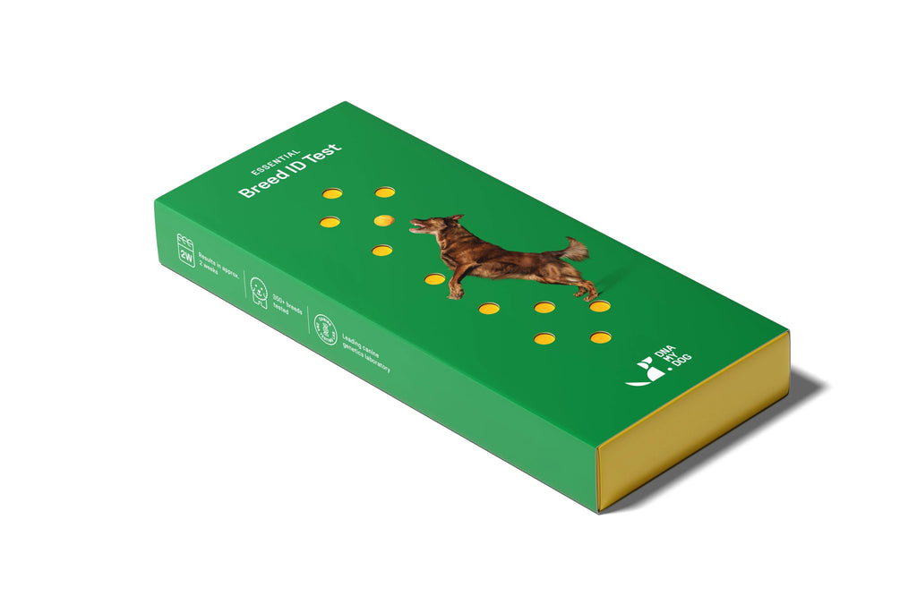 Dog Breed ID Testing Kit R954952