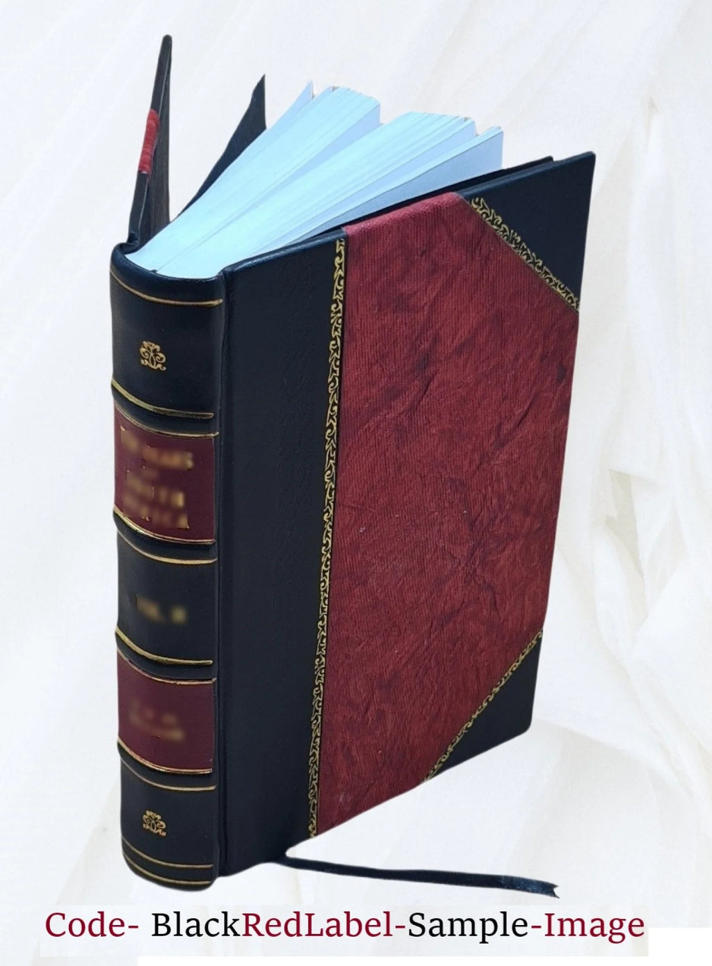 On land and sea with Caesar; or, Following the eagles 1926 Leather Bound U8727