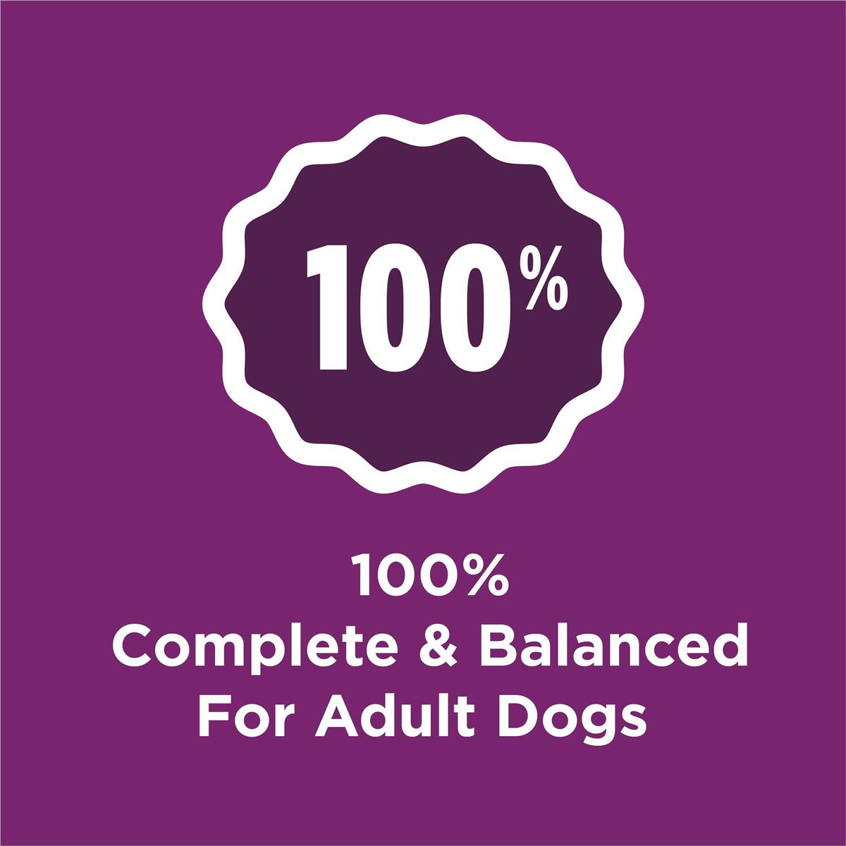 Complete Adult Dry Dog Food K267474