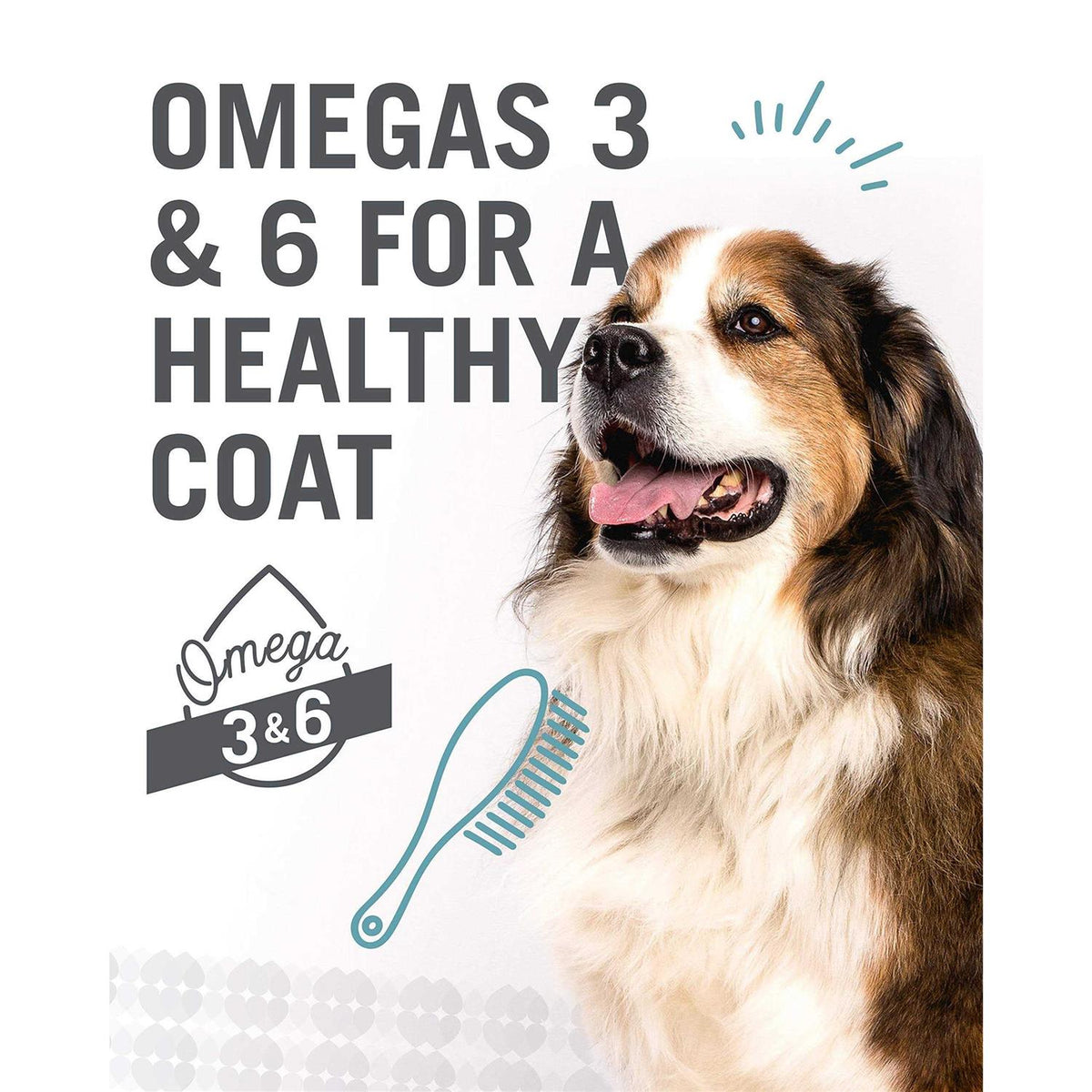 Simple Dog Food I847