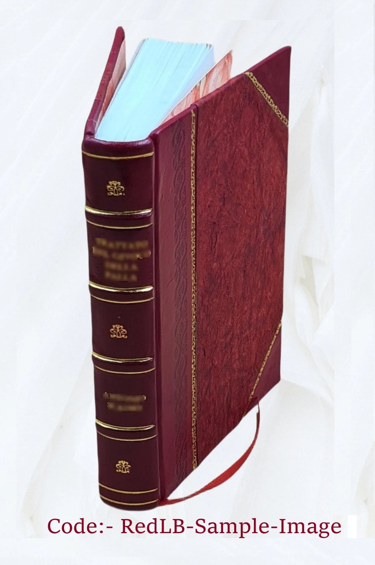 On land and sea with Caesar; or, Following the eagles 1926 Leather Bound U8727
